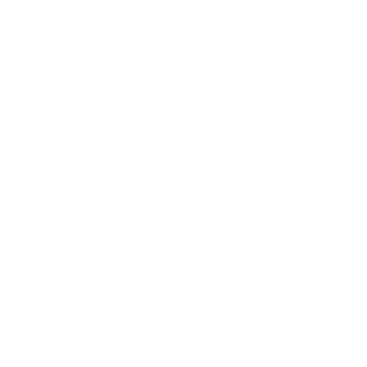 Youtube icon